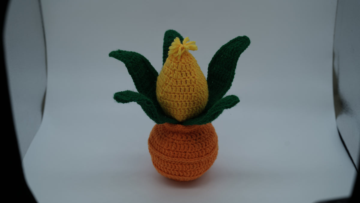 Handmade Crochet Shubh Labh Kalash with Mango Leaves and Coconut