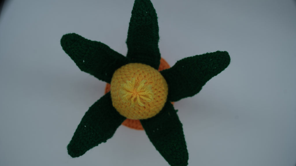 Handmade Crochet Shubh Labh Kalash with Mango Leaves and Coconut