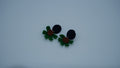 Multicolor Crochet Botanical Earrings